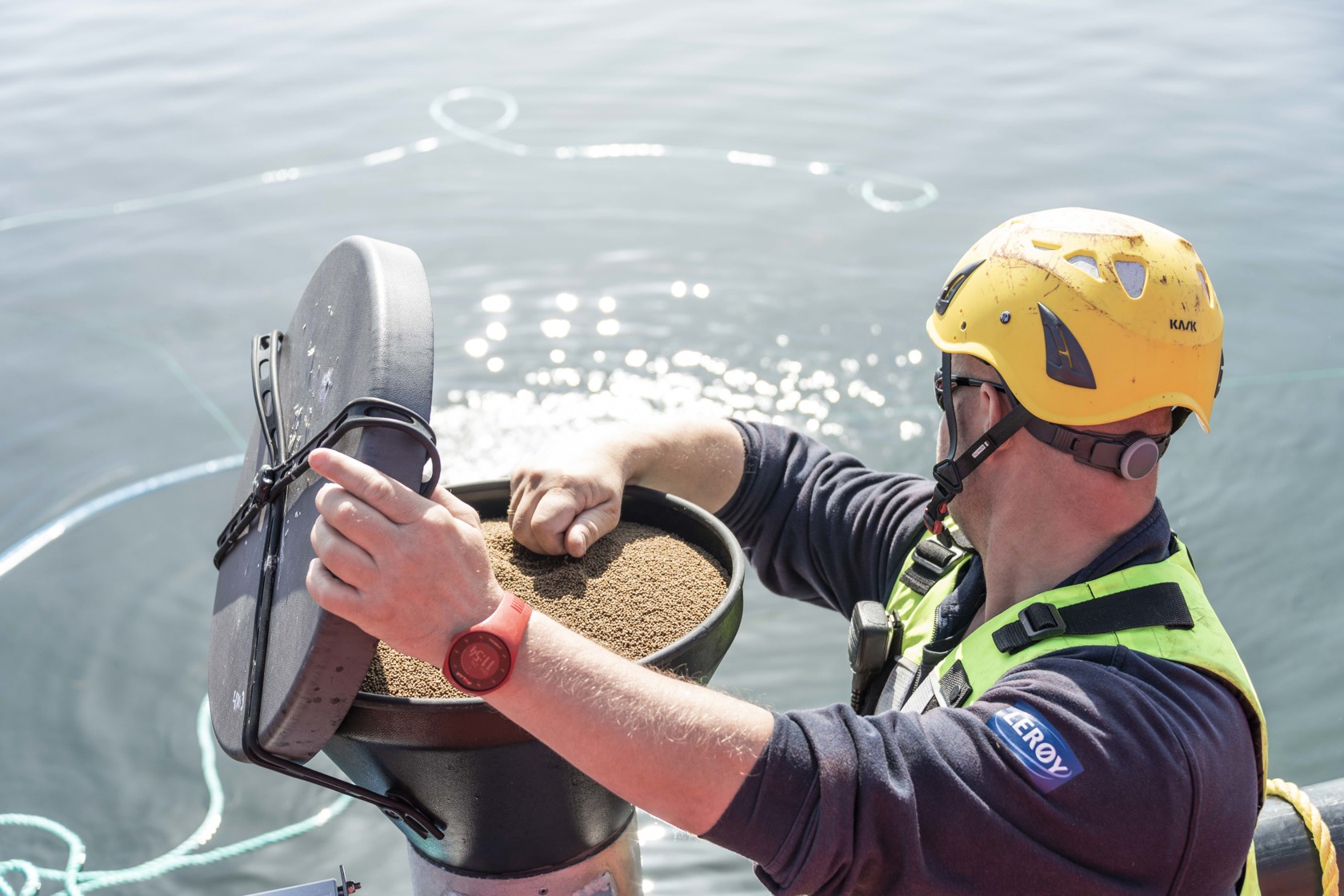 Employee at sea feeds the fish