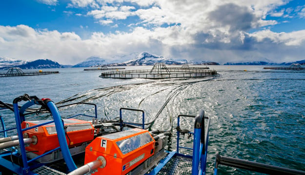 Merd i sjøen