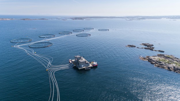 Havbruksanlegg i sjøen.