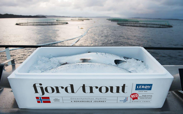 FjordTrout box with trout