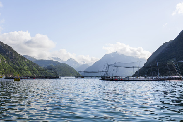 Fish cages in the sea