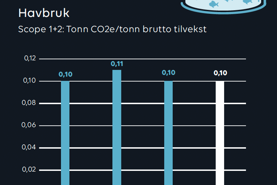 Tonn CO2 Havbruk